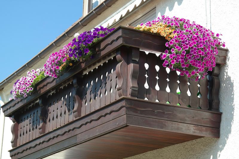 lawenda parapet balkon rośliny doniczkowe